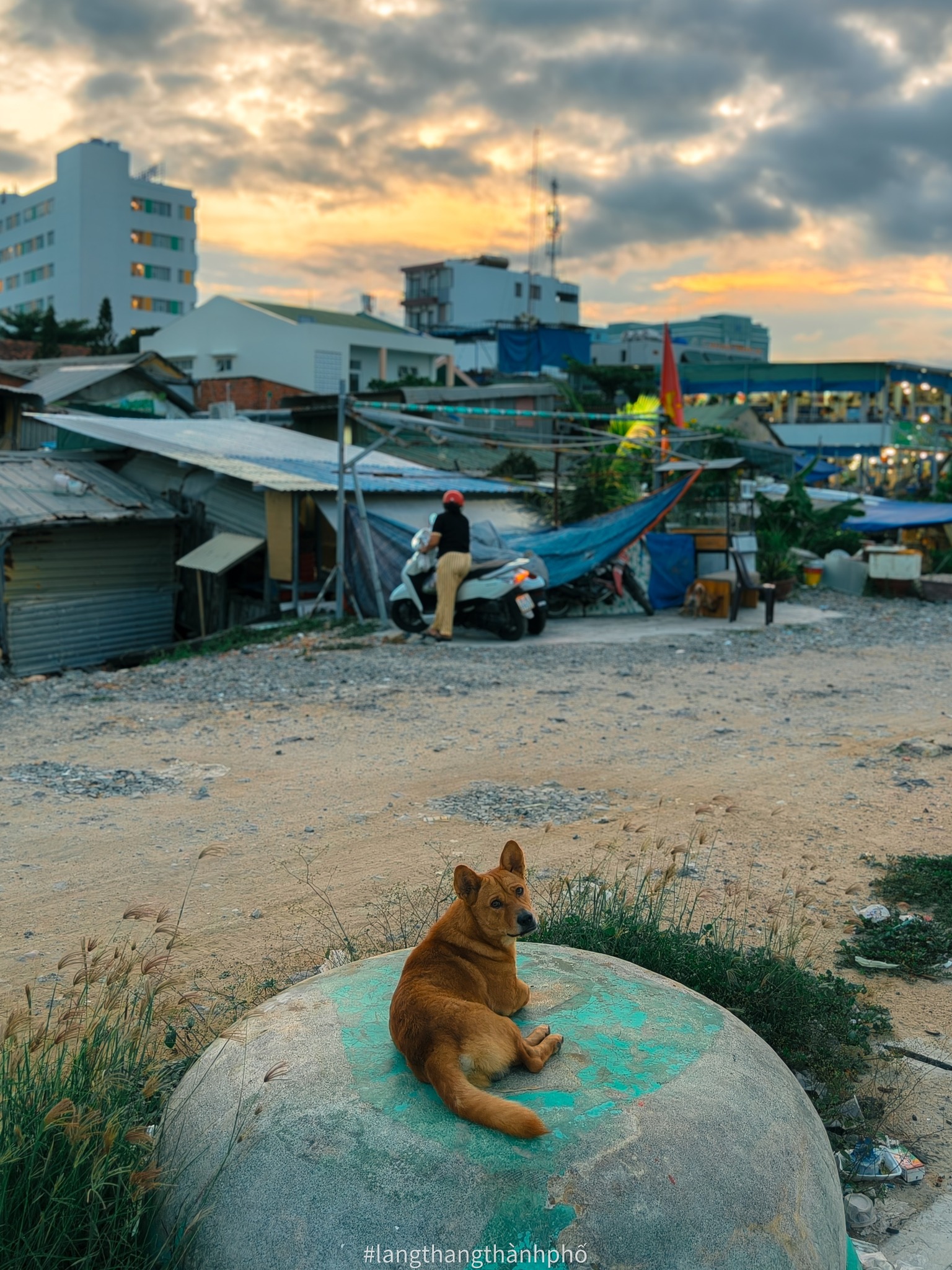 https://cdn.smarttravel.vn/data_files/posts_files/image/202510/08/557212001-1375596057521769-4271053694709556591-n-08102025165318.jpg