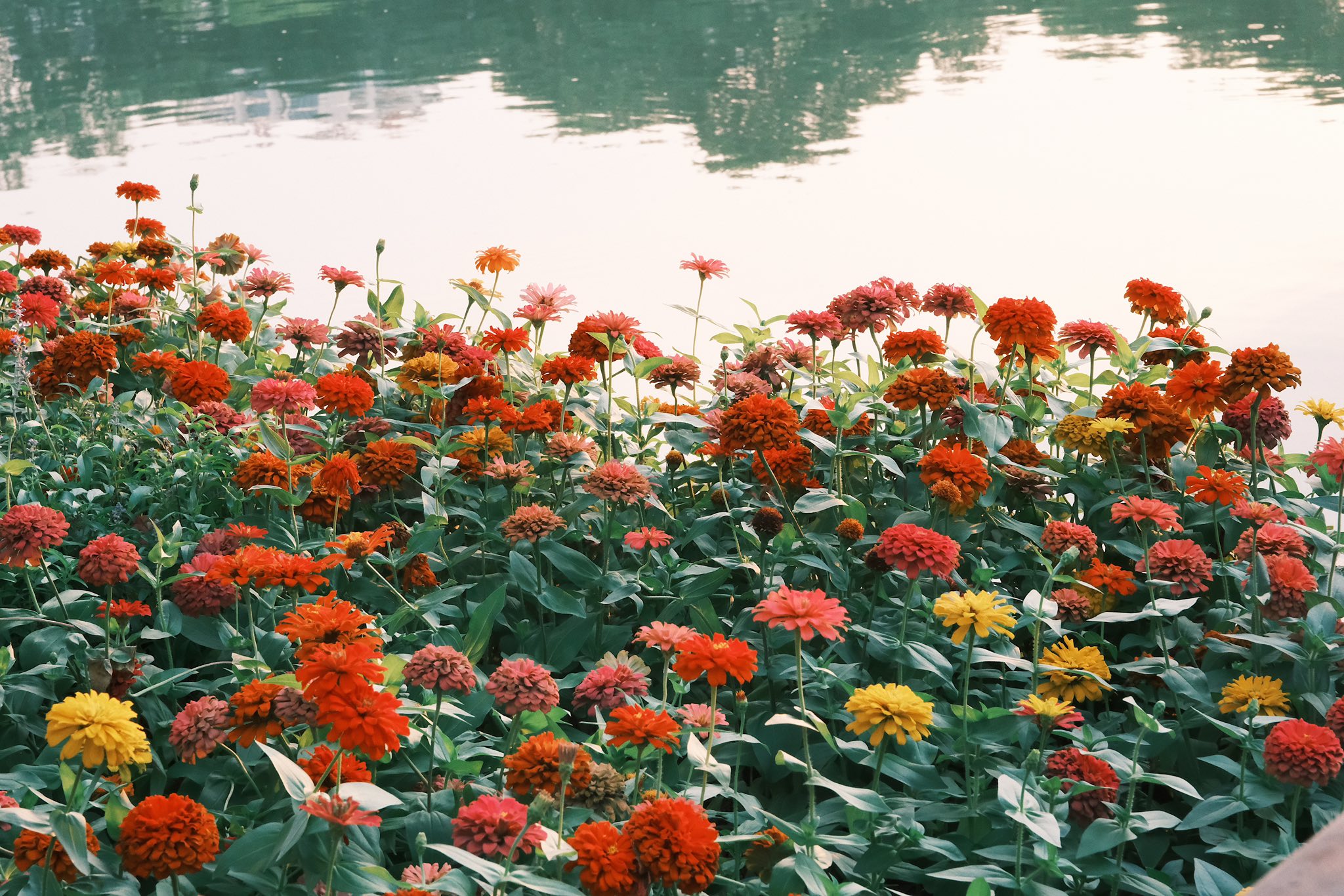 https://cdn.smarttravel.vn/data_files/posts_files/image/202510/08/a20-08102025164123.jpg