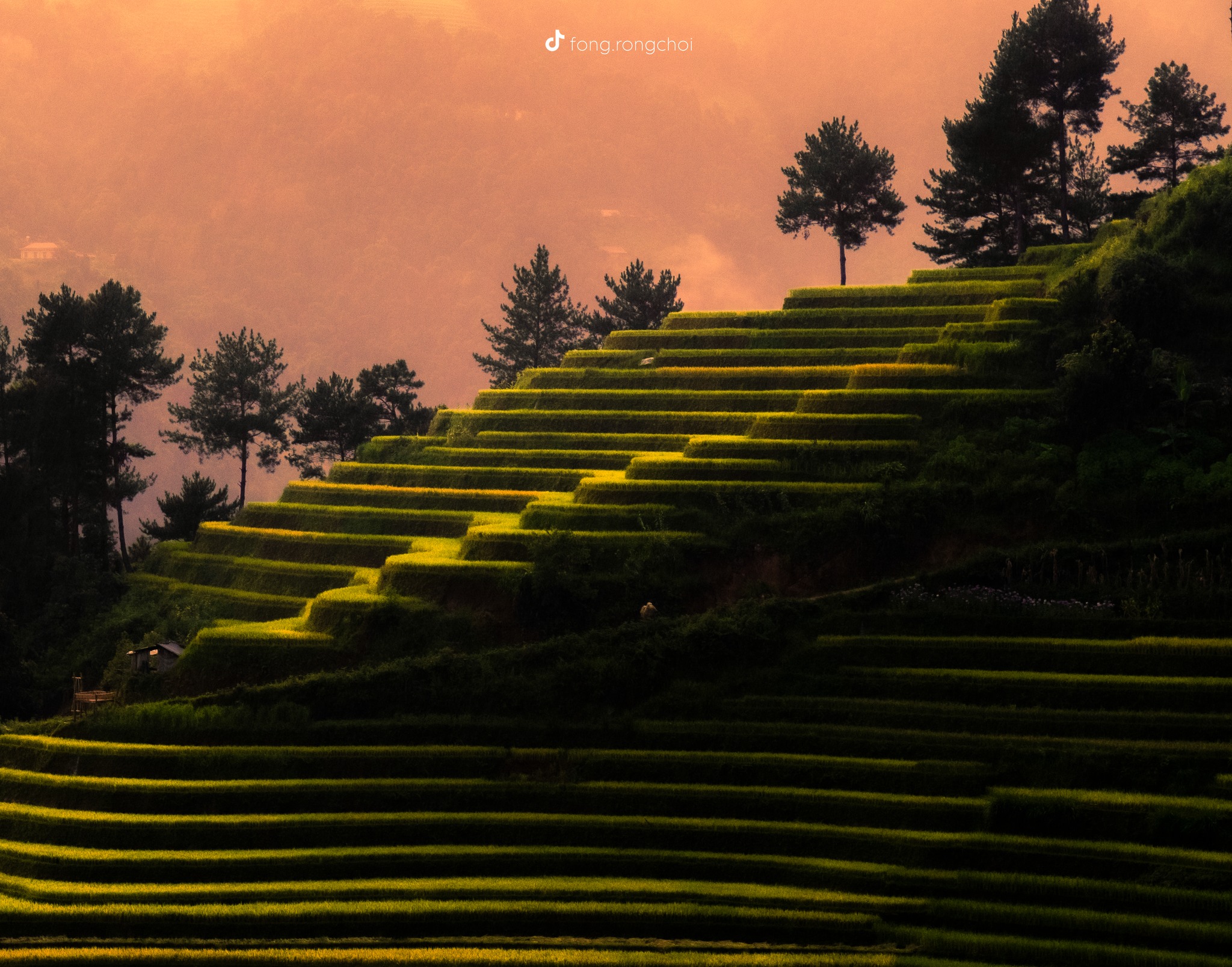 https://cdn.smarttravel.vn/data_files/posts_files/image/202510/08/a3-08102025163601.jpg