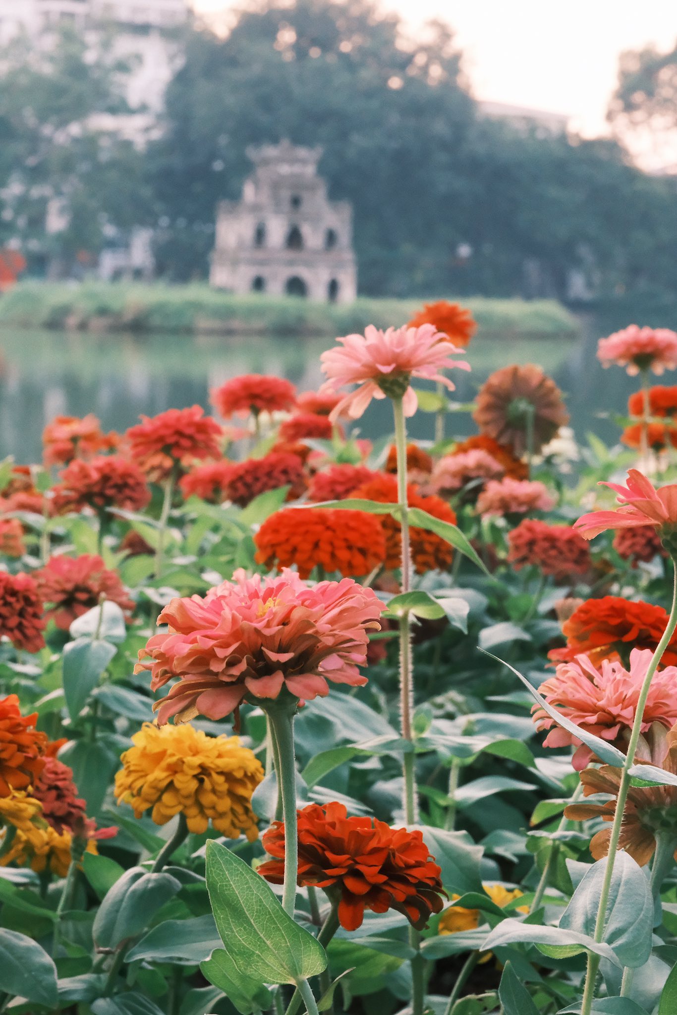 https://cdn.smarttravel.vn/data_files/posts_files/image/202510/08/a3-08102025164110.jpg