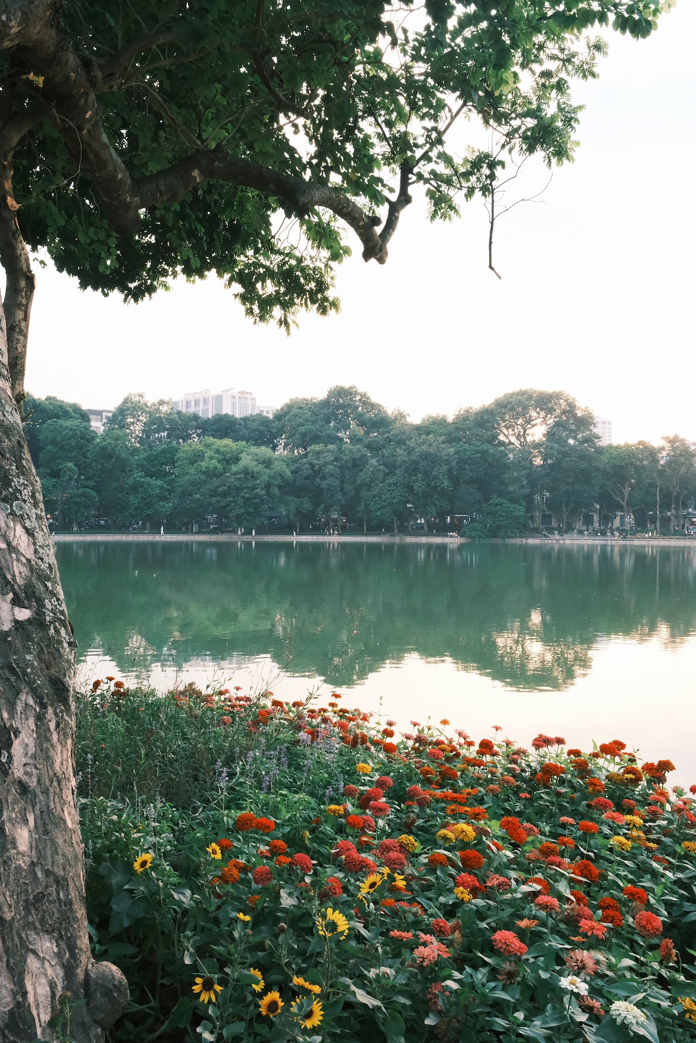 https://cdn.smarttravel.vn/data_files/posts_files/image/202510/08/a5-08102025164110.jpg