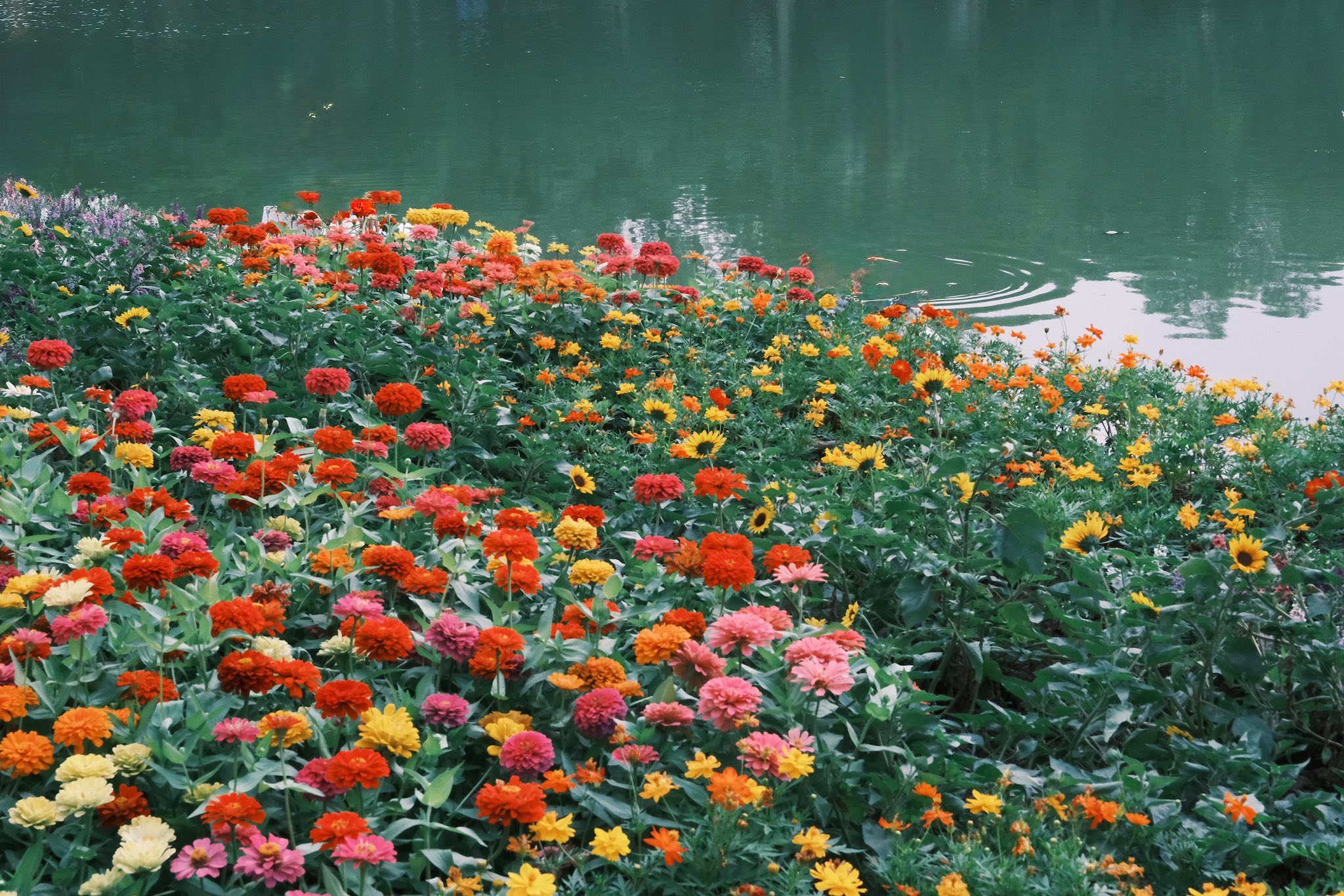 https://cdn.smarttravel.vn/data_files/posts_files/image/202510/08/a6-08102025164122.jpg