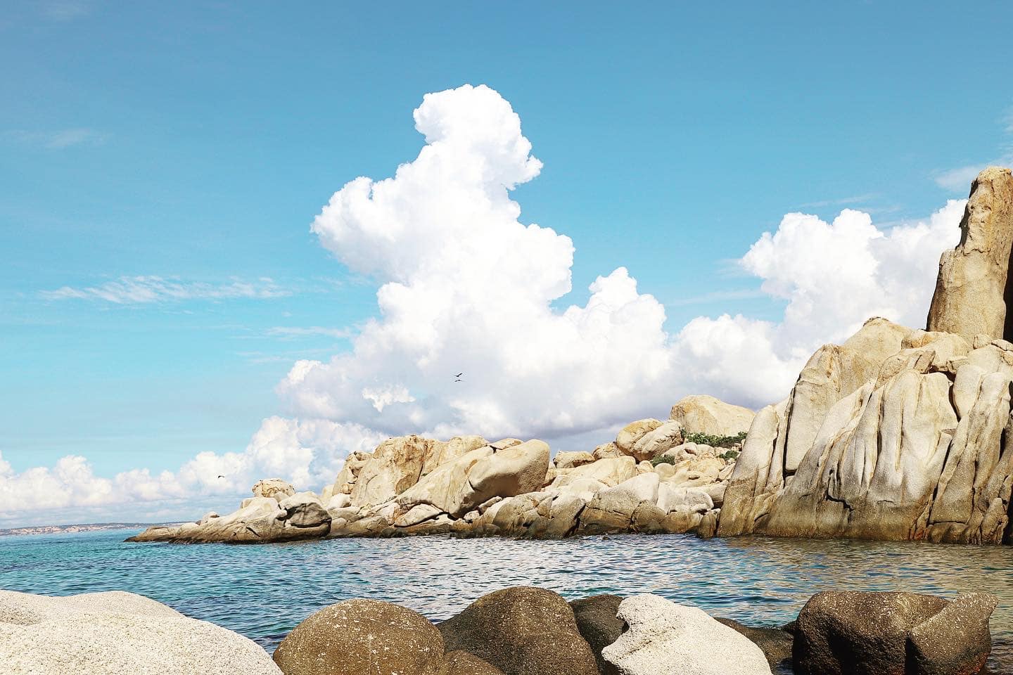 dao-cu-lao-cau-binh-thuan