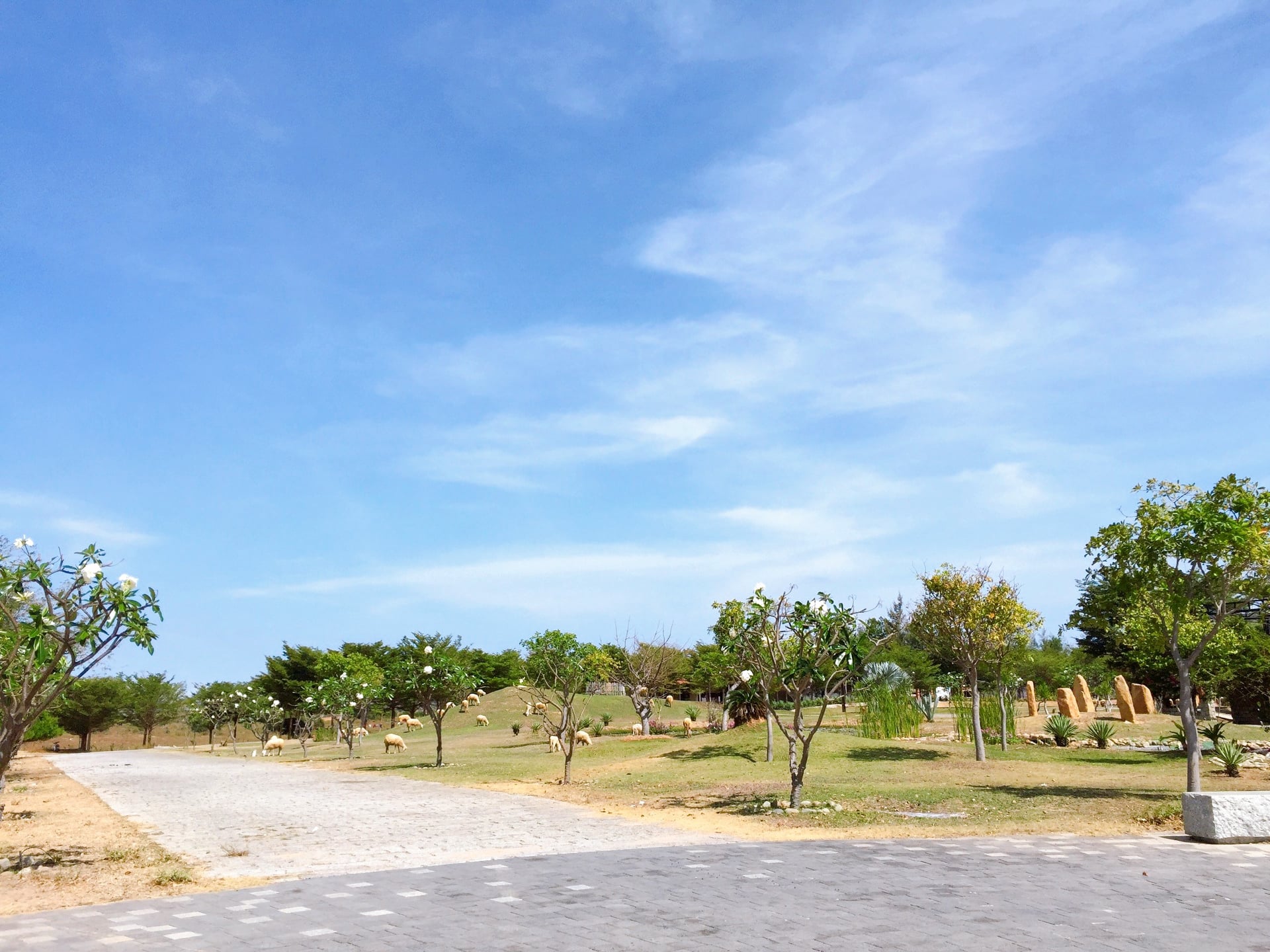 https://cdn.smarttravel.vn/data_files/posts_files/image/202510/15/469399402-1159489105771096-1341240440875886368-n-15102025142130.jpg
