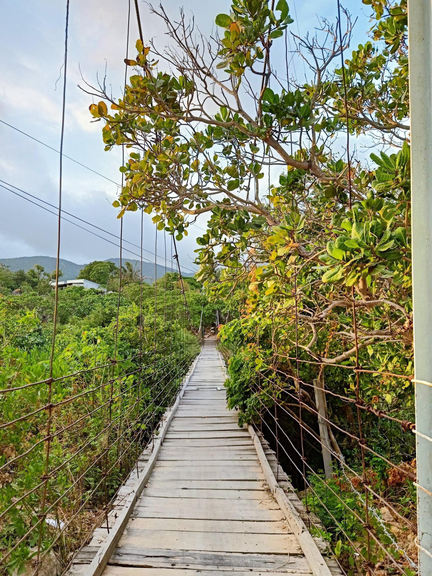 https://cdn.smarttravel.vn/data_files/posts_files/image/202510/15/469455337-1159489195771087-5635856196132548632-n-15102025142131.jpg