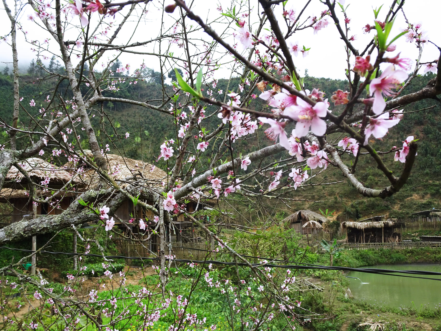 https://cdn.smarttravel.vn/data_files/posts_files/image/202510/15/486174160-24141433758780524-3936712878171708063-n-15102025140044.jpg