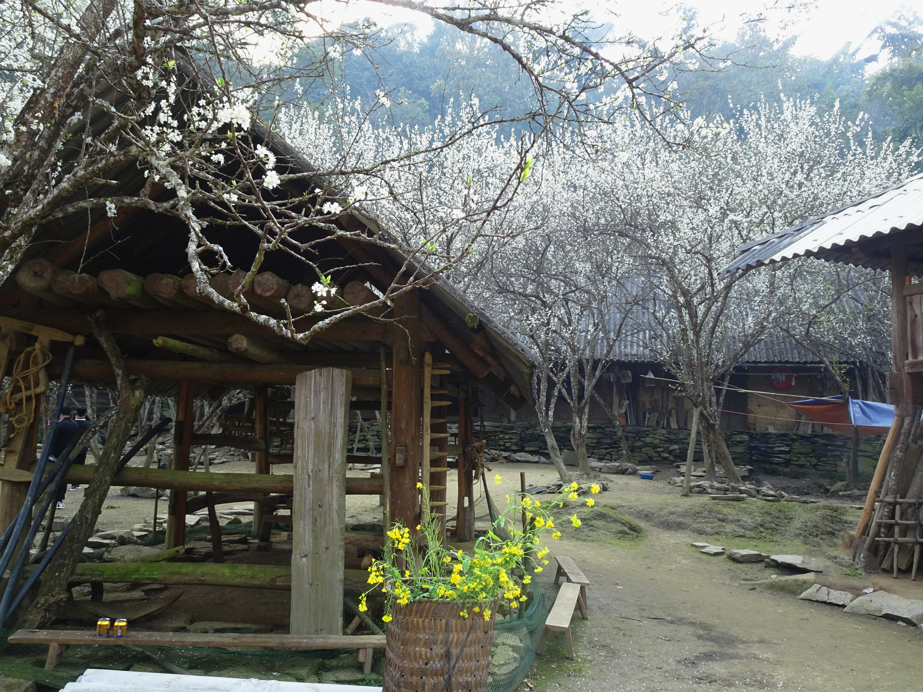 https://cdn.smarttravel.vn/data_files/posts_files/image/202510/15/486192163-24141433748780525-6162560574345555748-n-15102025140044.jpg