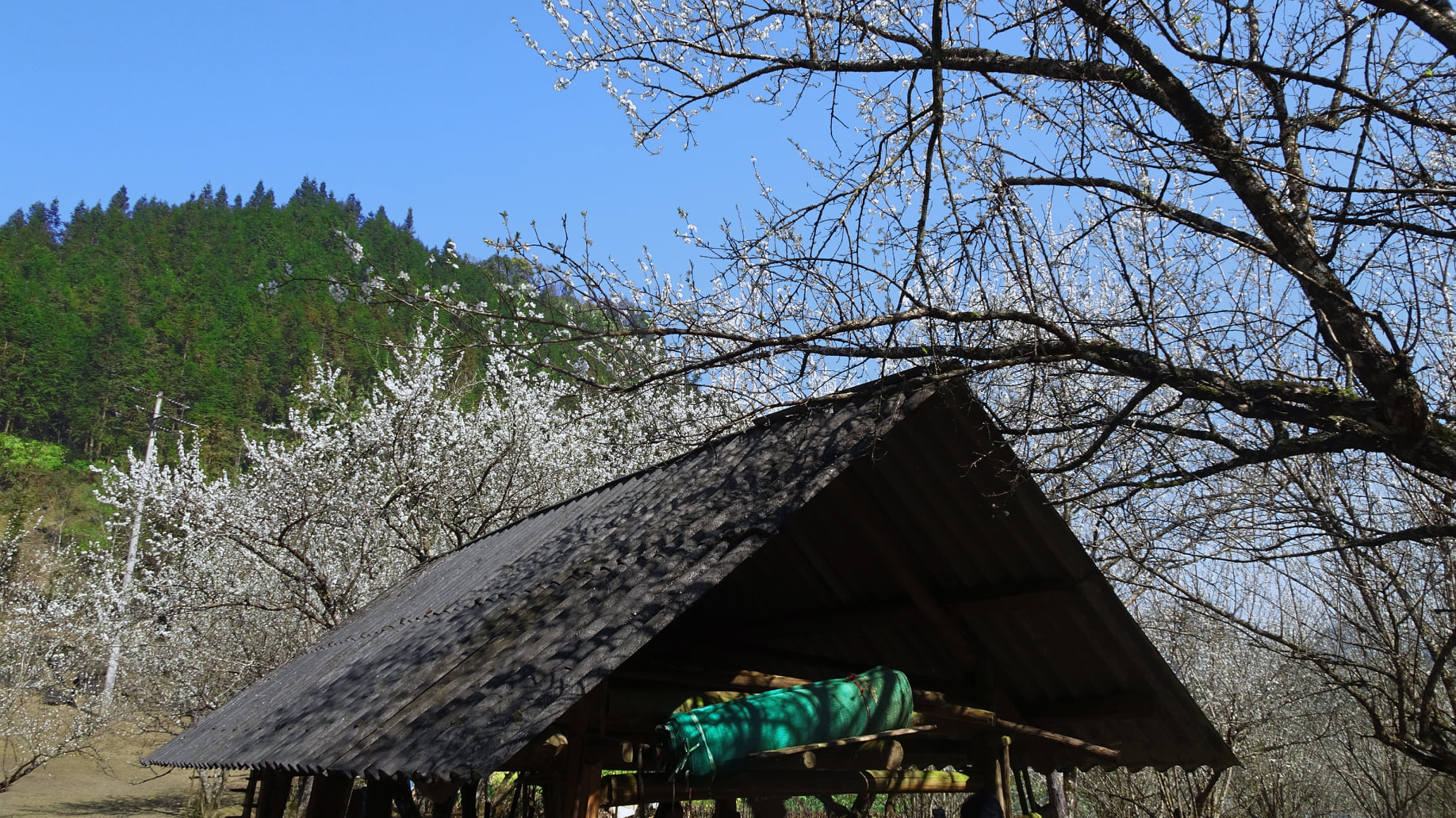 https://cdn.smarttravel.vn/data_files/posts_files/image/202510/15/486337690-24141433528780547-5403475854246386578-n-15102025140044.jpg