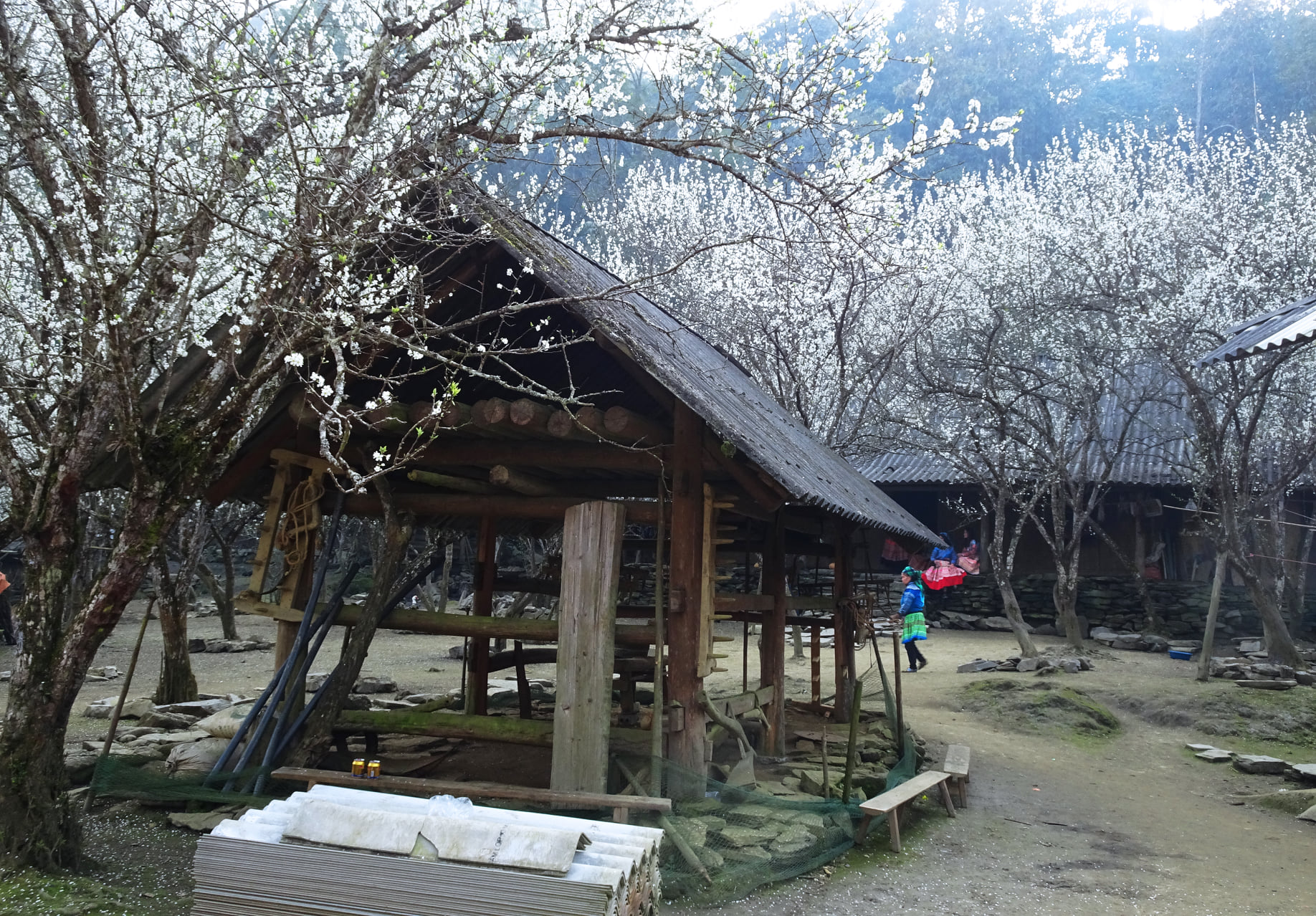 https://cdn.smarttravel.vn/data_files/posts_files/image/202510/15/486429894-24141433725447194-9136771004955950909-n-15102025140044.jpg
