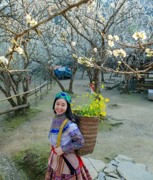 https://cdn.smarttravel.vn/data_files/posts_files/image/202510/15/486460199-24141433415447225-1562106079639134318-n-15102025140044.jpg