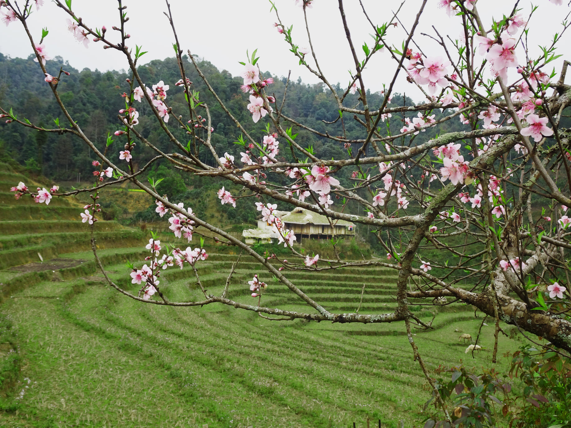 https://cdn.smarttravel.vn/data_files/posts_files/image/202510/15/486527117-24141433788780521-5097010616802879309-n-15102025140045.jpg