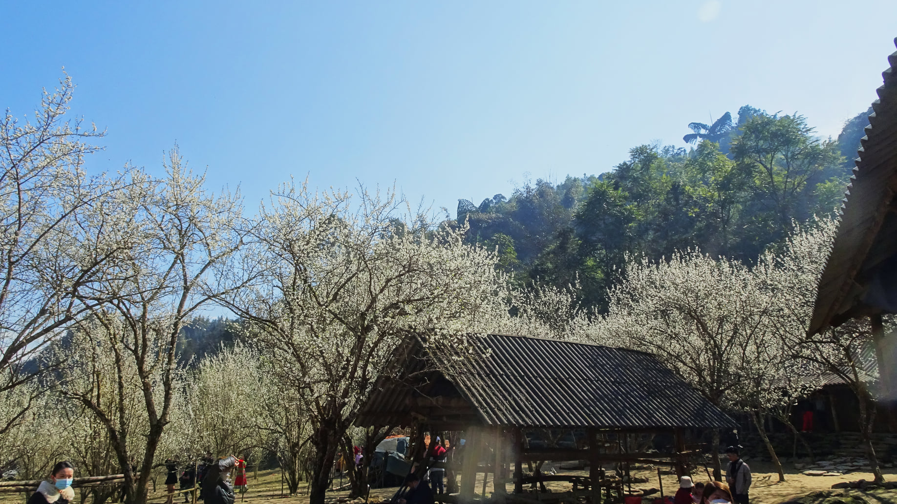 https://cdn.smarttravel.vn/data_files/posts_files/image/202510/15/486718069-24141433552113878-1505828770945792990-n-15102025140045.jpg
