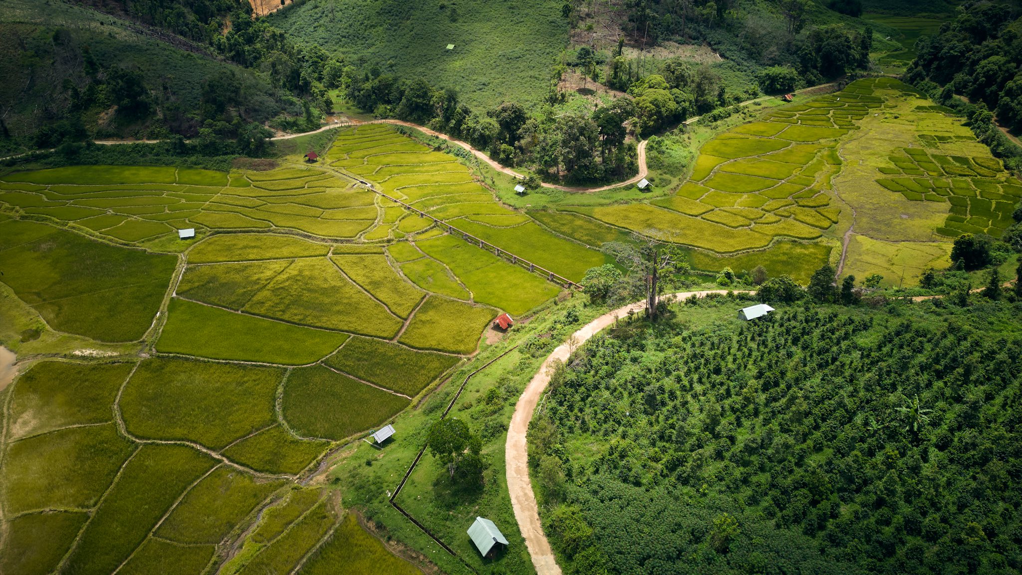 https://cdn.smarttravel.vn/data_files/posts_files/image/202510/15/504165667-122227619678248016-2632752984522445191-n-15102025141336.jpg