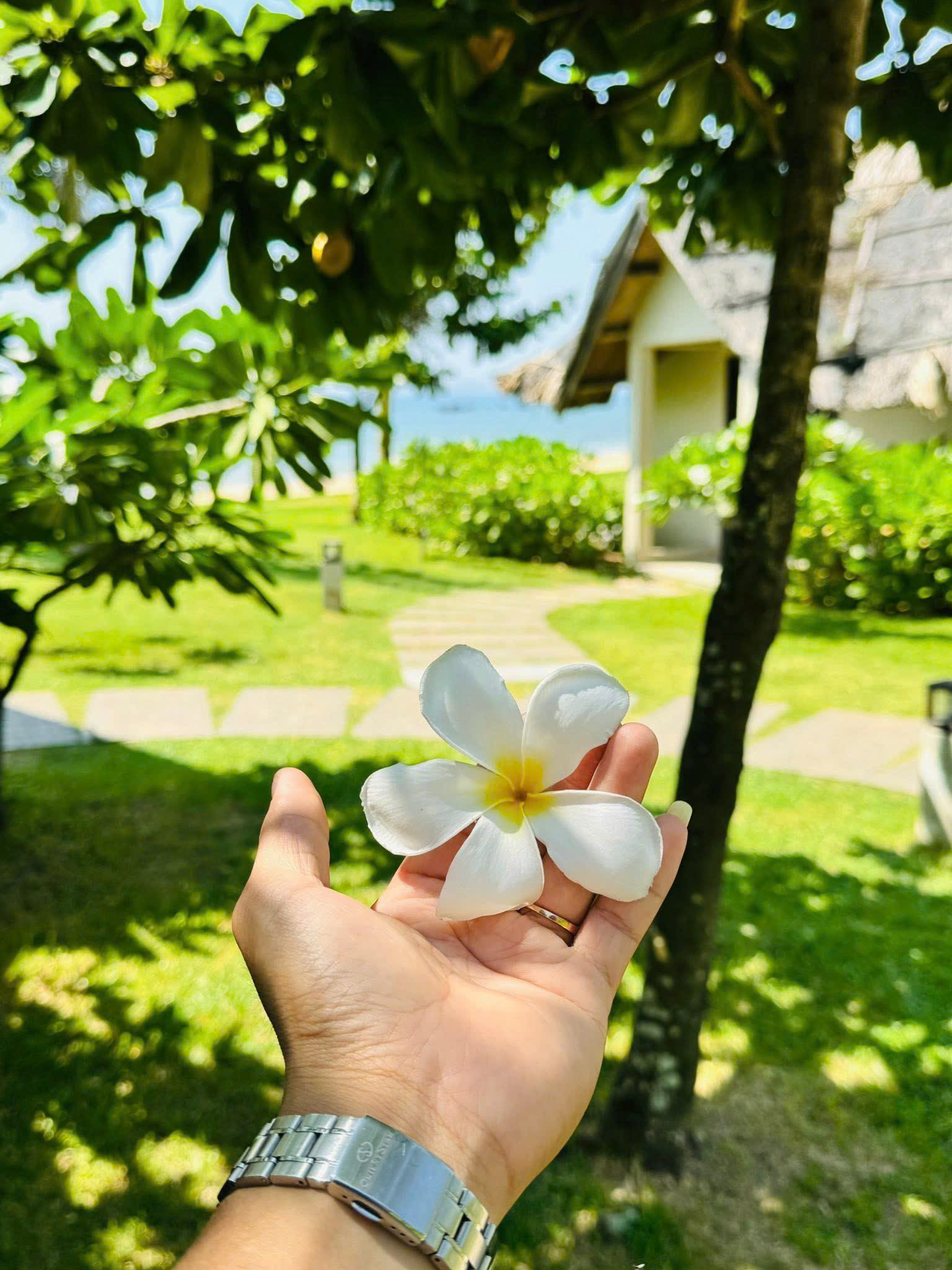 https://cdn.smarttravel.vn/data_files/posts_files/image/202510/15/z7006363454162-074d87326c3ef5097885fa2382326840-15102025142536.jpg