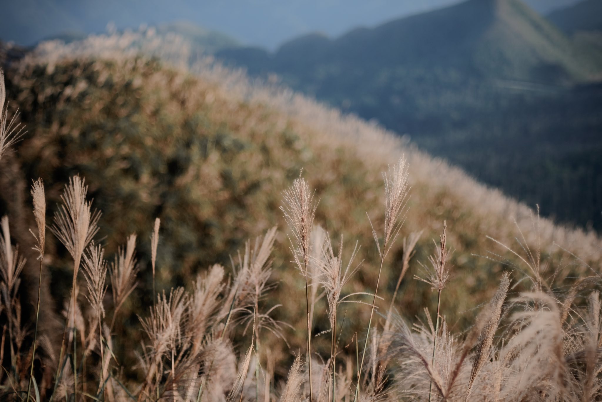 chieu-bien-gioi-moc-1297-tinh-lang-son