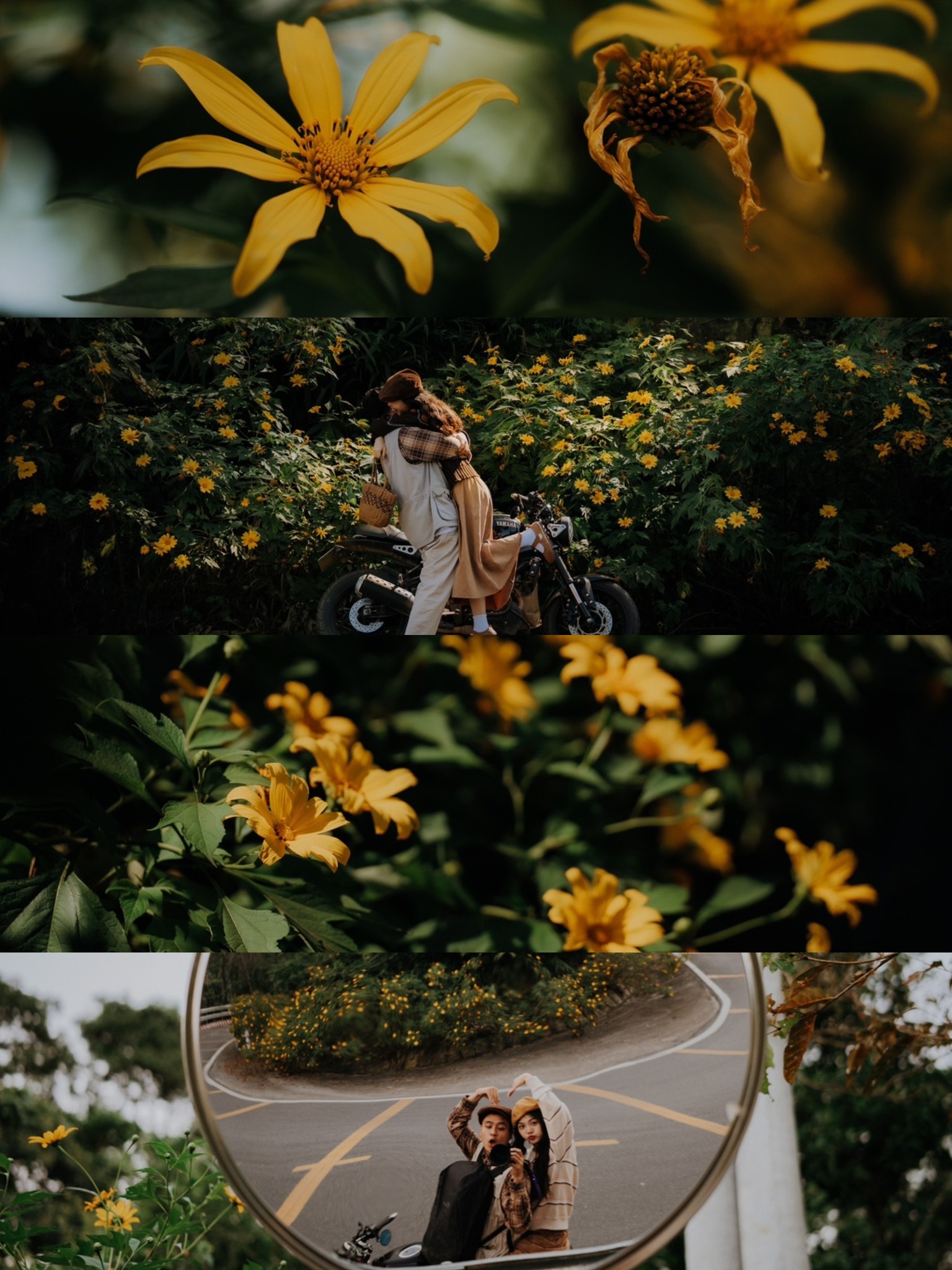 📍mua-hoa-da-quy-o-ba-vi-1