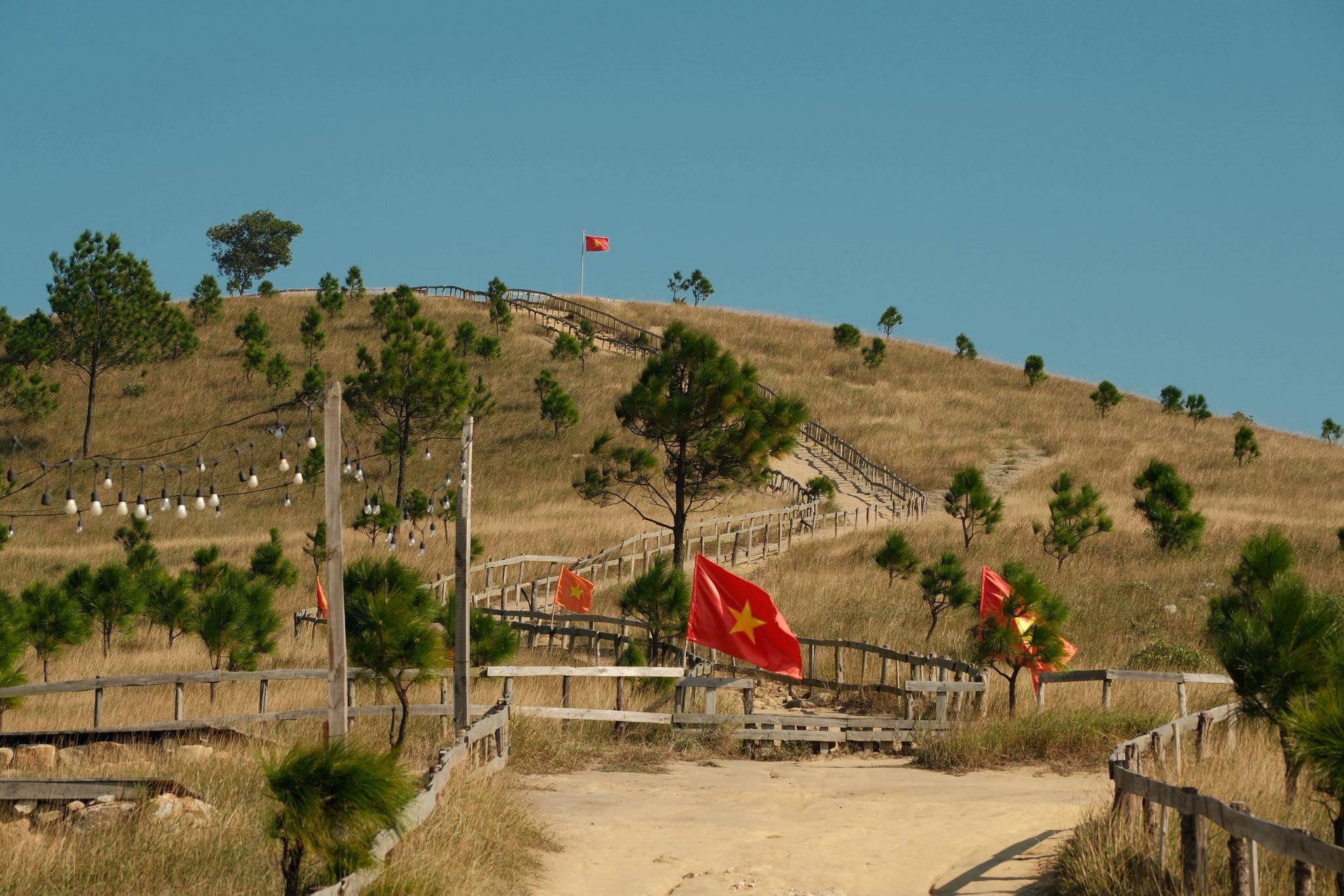 mua-vang-da-phu-kin-dinh-phuong-hoang-✨