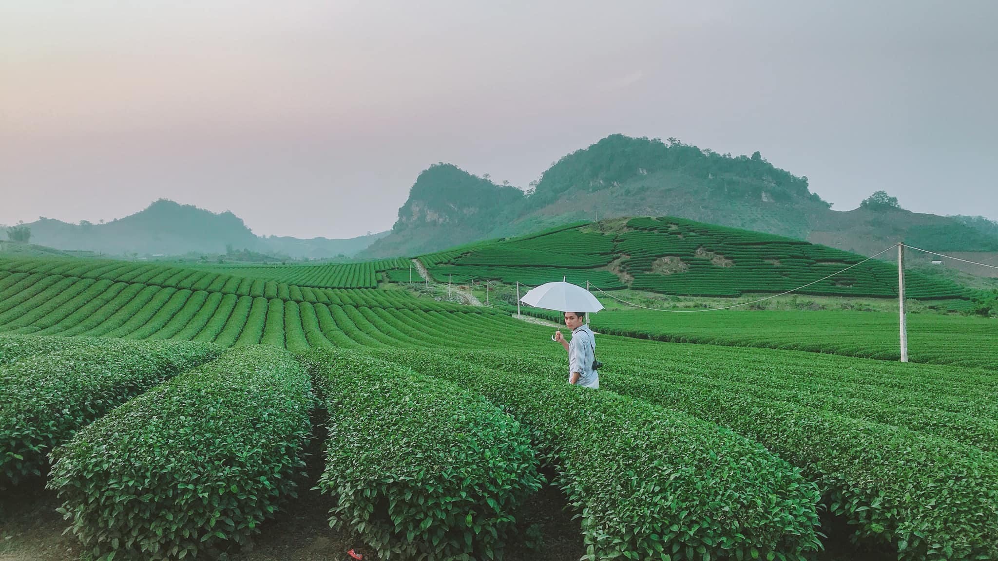 Ảnh: Đức Anh