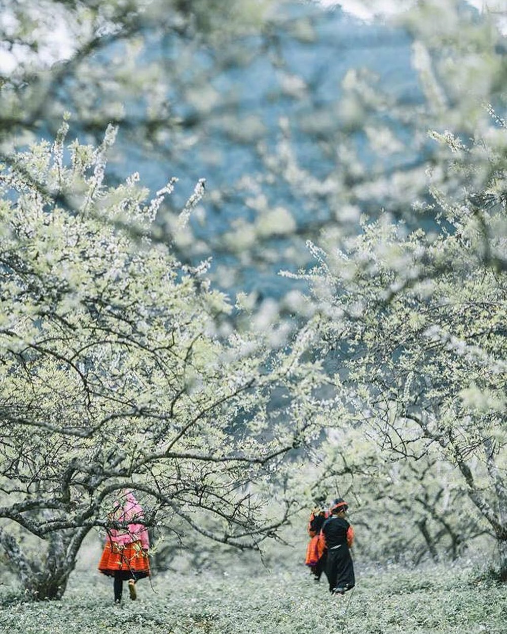 Ảnh: Hoàng Phi
