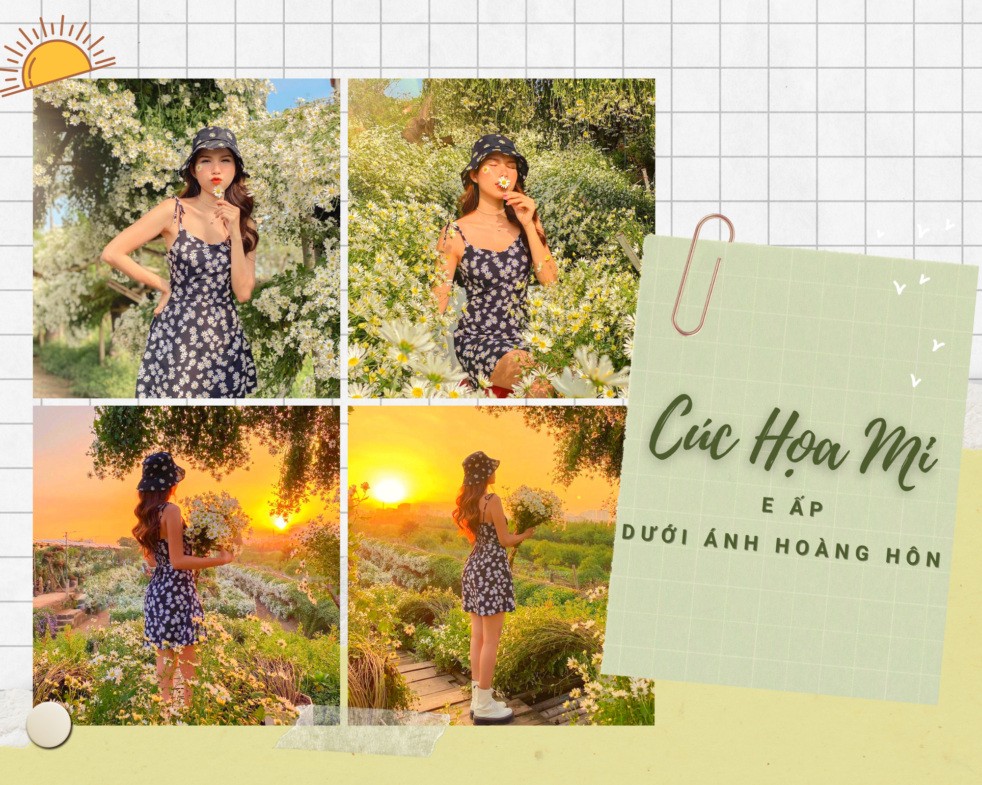 mua-cuc-hoa-mi-08-smarttravel