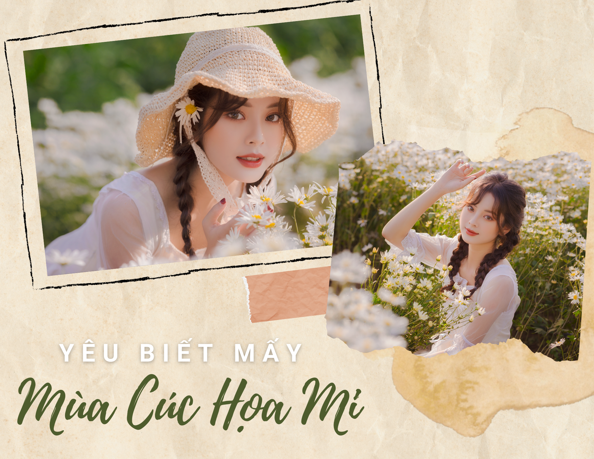 mua-cuc-hoa-mi-03-smarttravel