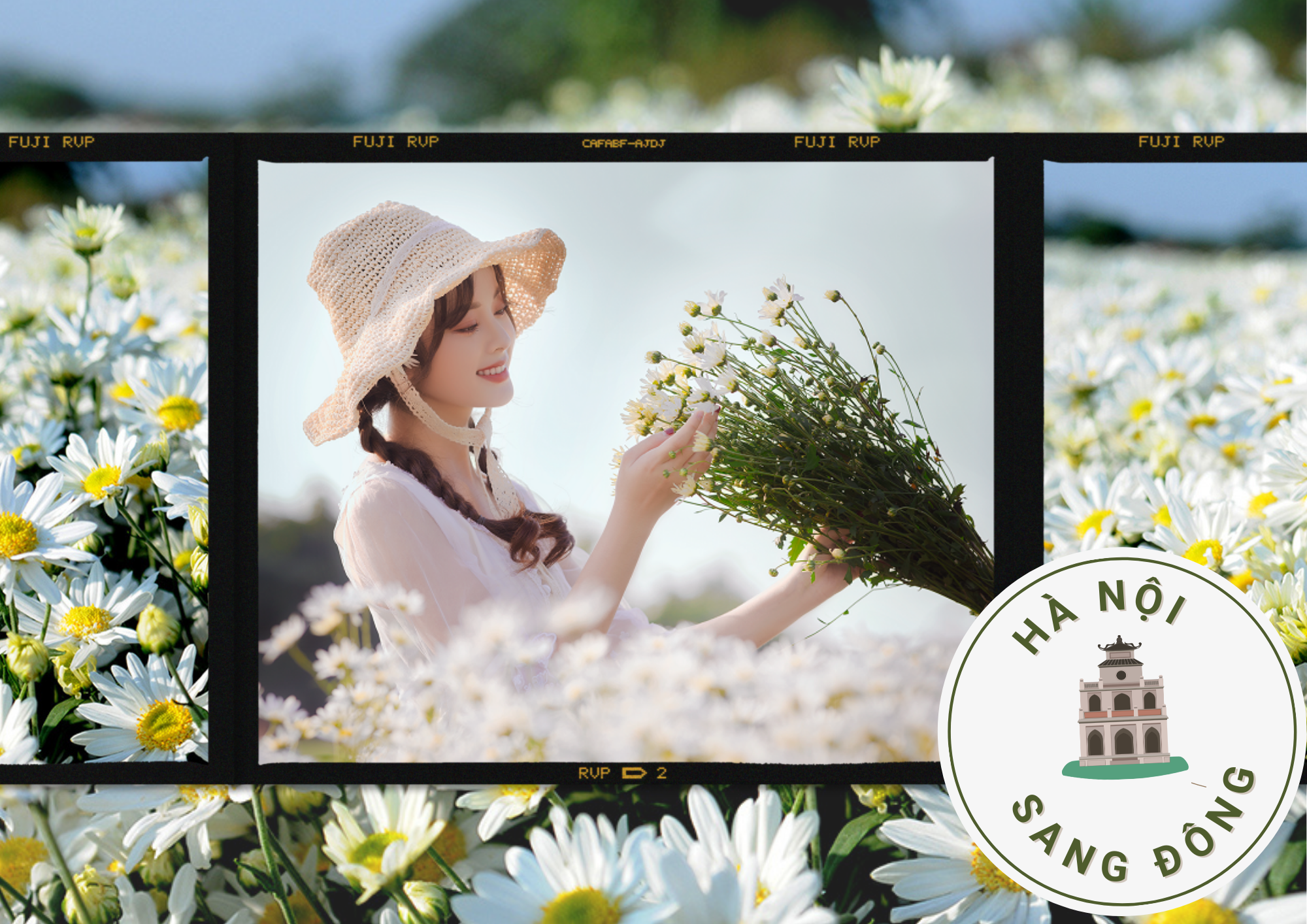 mua-cuc-hoa-mi-04-smarttravel