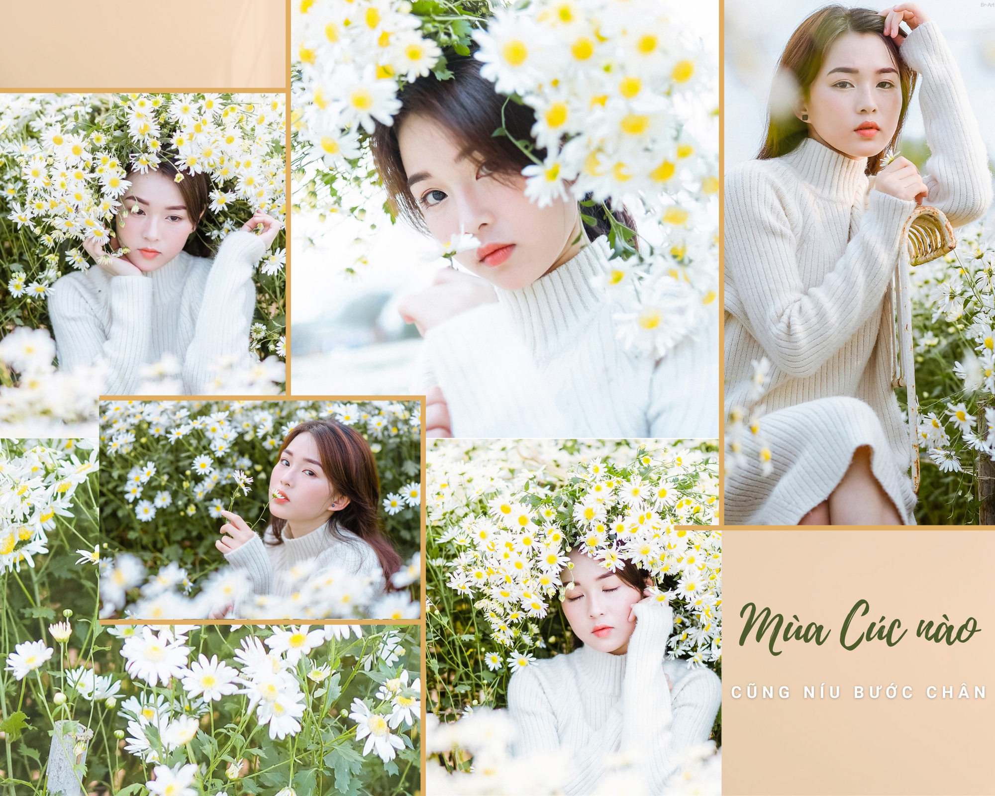 mua-cuc-hoa-mi-05-smarttravel