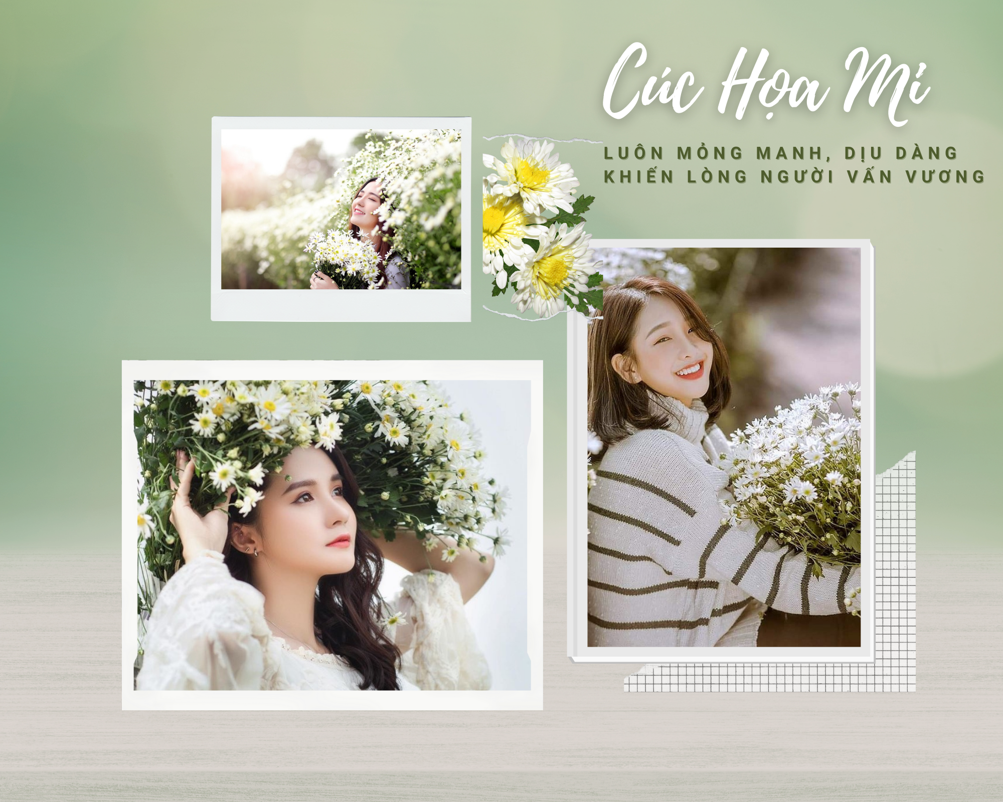 mua-cuc-hoa-mi-06-smarttravel