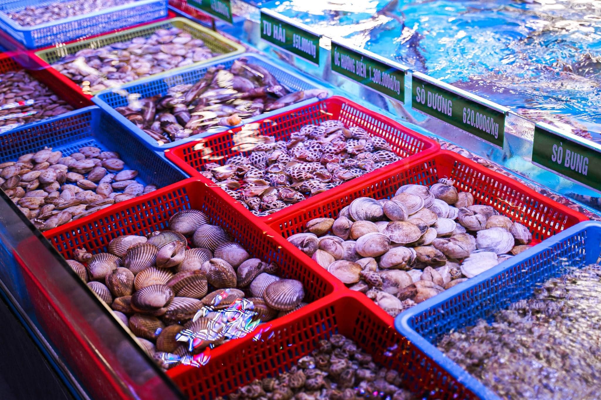 bien-hai-tien-10-smarttravel