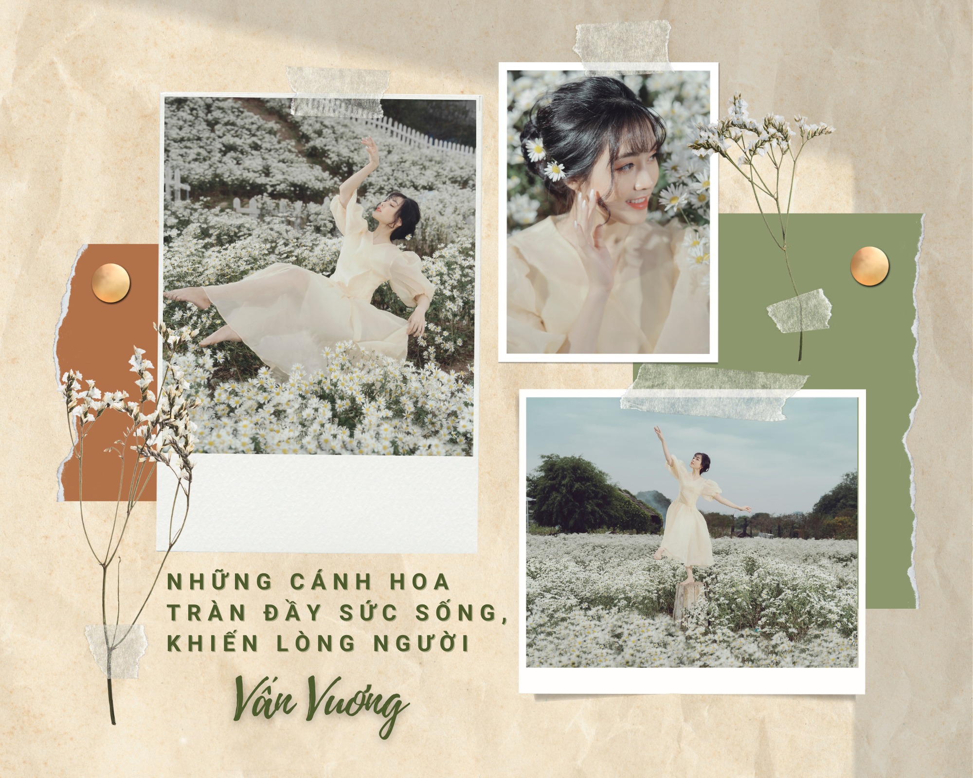 mua-cuc-hoa-mi-11-smarttravel