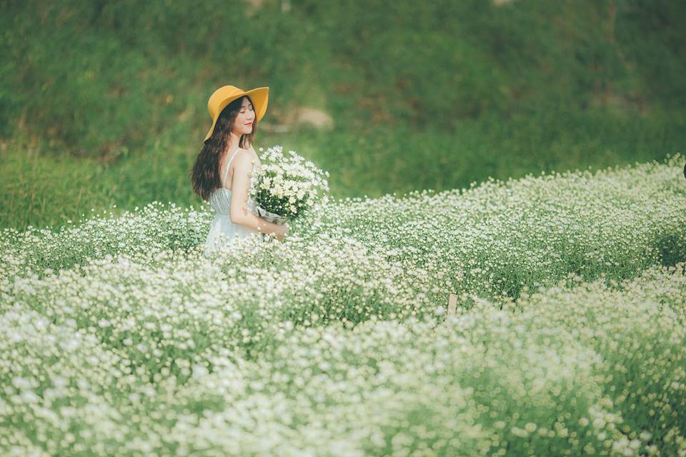 mua-cuc-hoa-mi-20-smarttravel