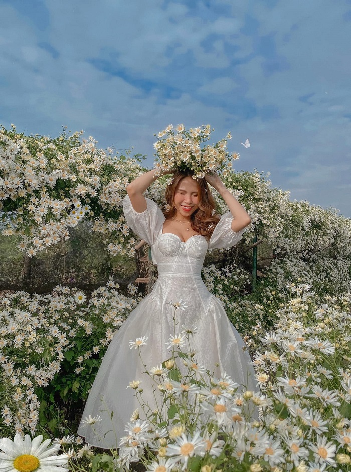 mua-cuc-hoa-mi-22-smarttravel