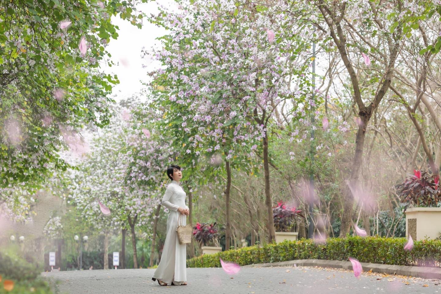 con-pho-dep-nhat-ha-noi-03-smarttravel