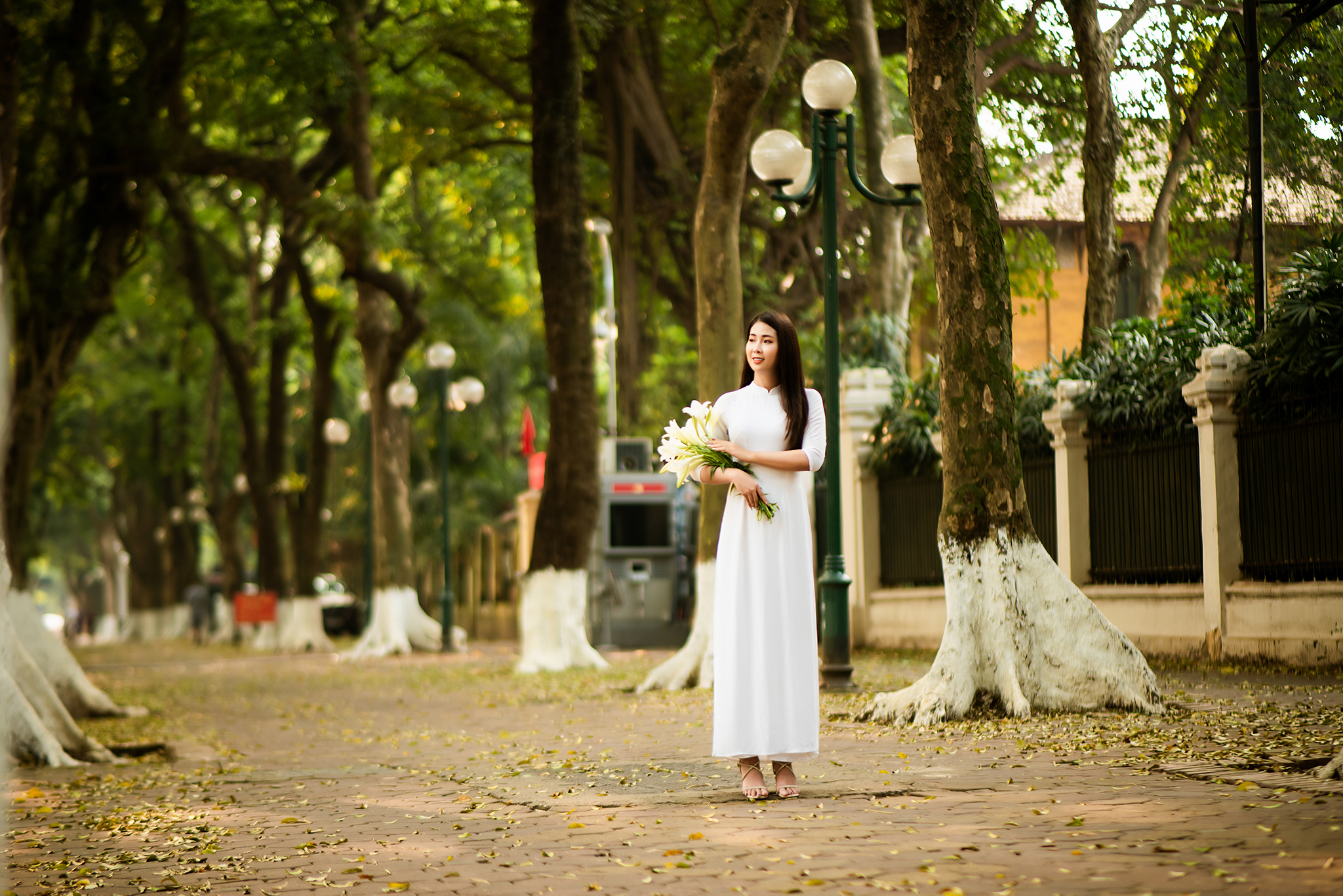 con-pho-dep-nhat-ha-noi-07-smarttravel