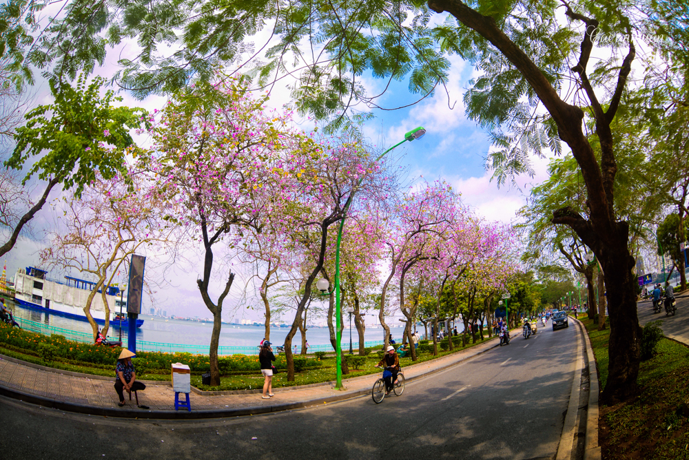 con-pho-dep-nhat-ha-noi-09-smarttravel