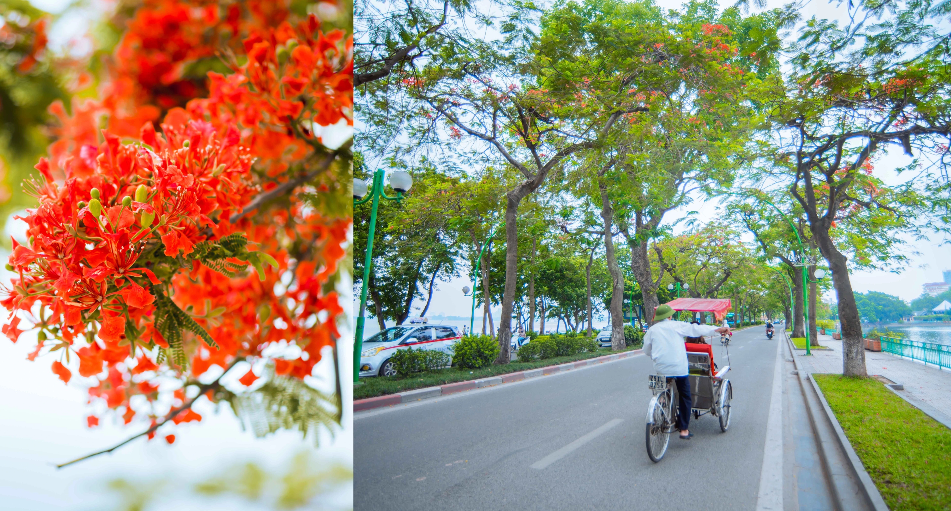 con-pho-dep-nhat-ha-noi-10-smarttravel