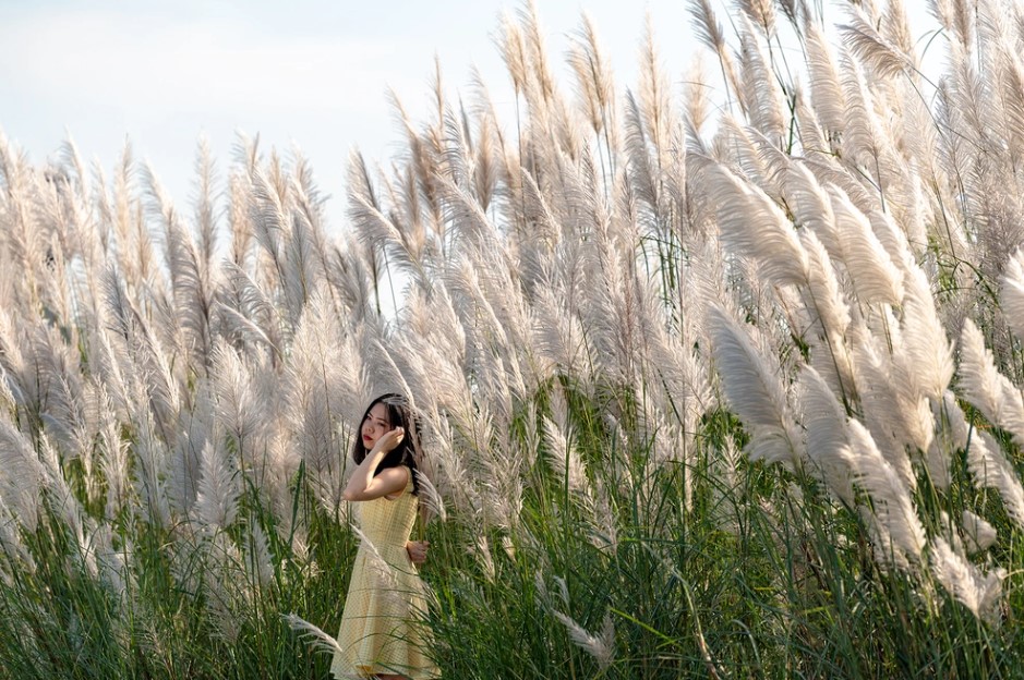 nhung-dong-lau-ha-noi-16-smarttravel