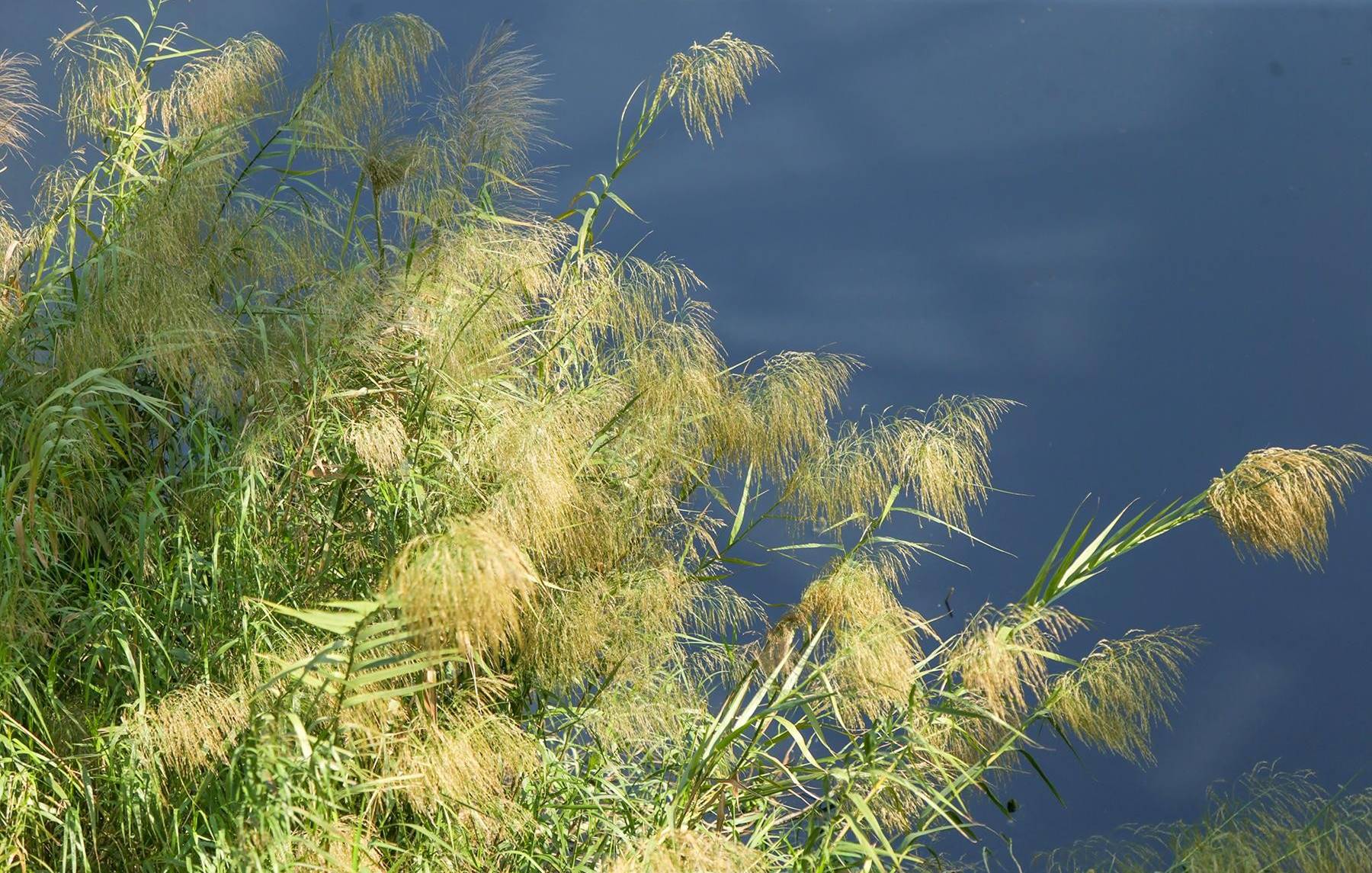 nhung-dong-lau-ha-noi-06-smarttravel