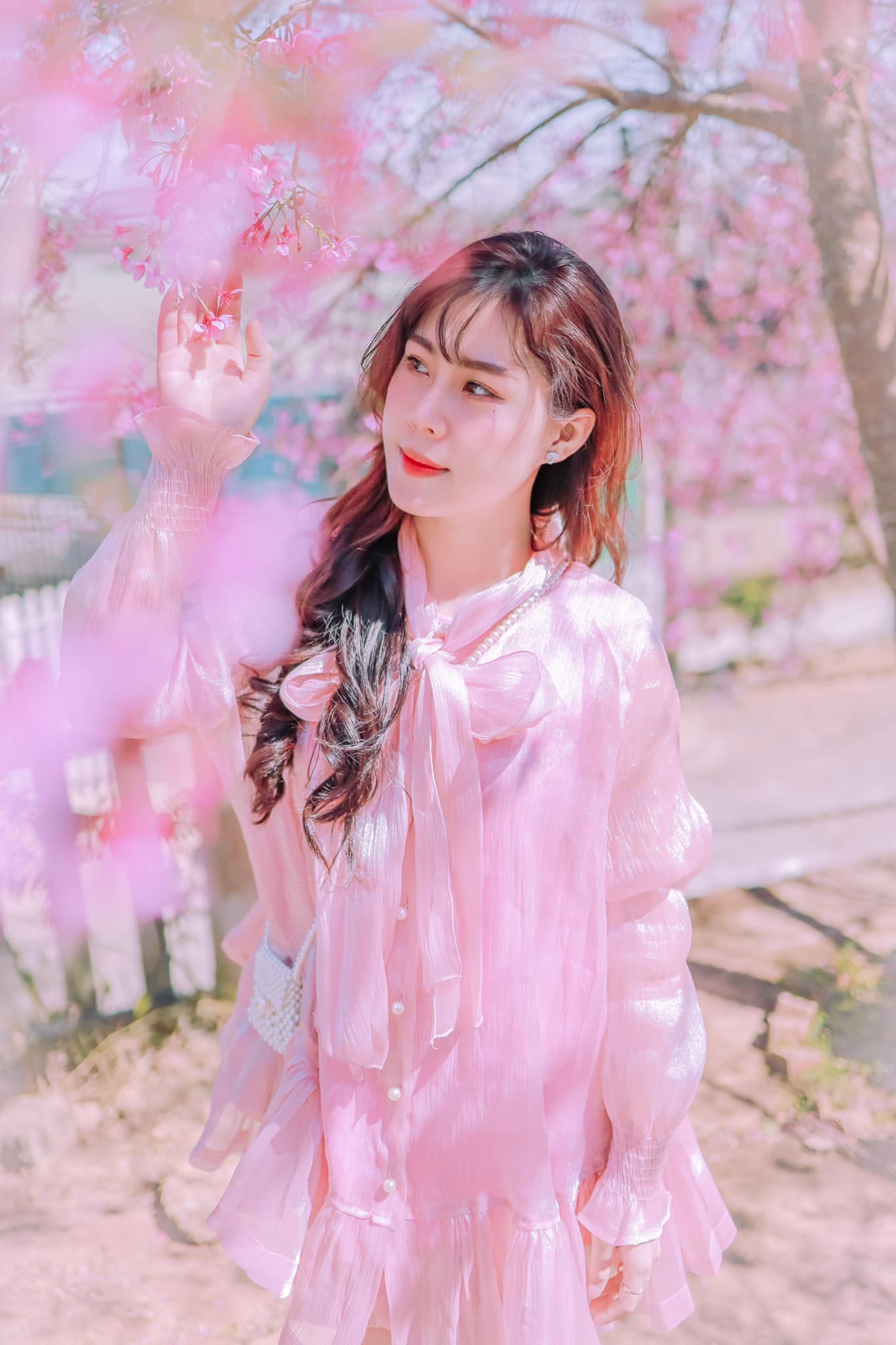 hoa-mai-anh-dao-07-smarttravel