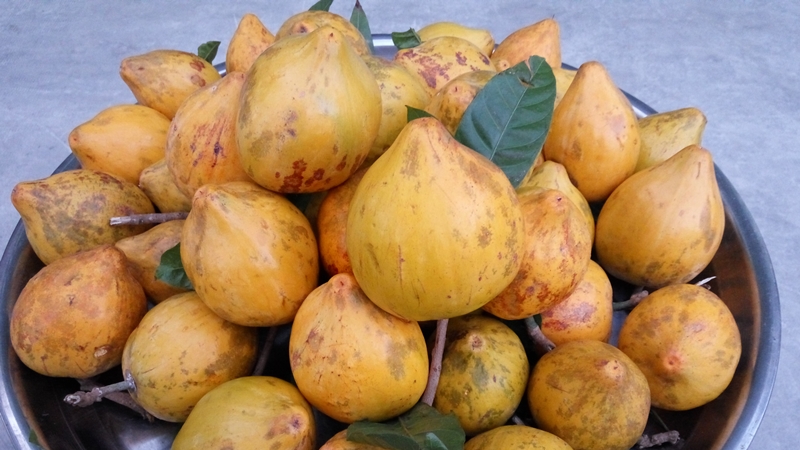 mo-co-sau-05-smarttravel