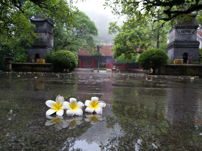 den-hung-05-smarttravel
