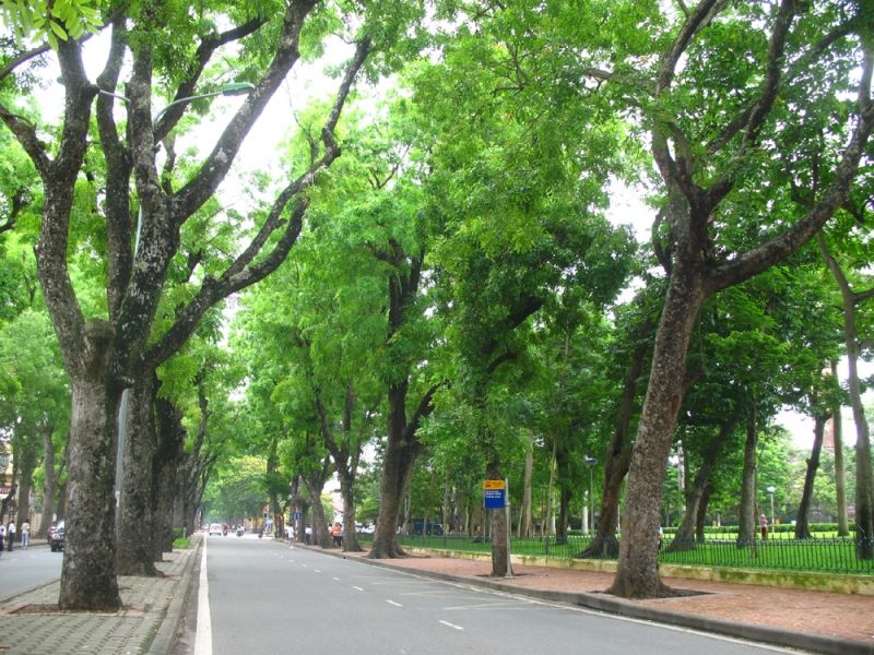 viet-nam-la-quoc-gia-co-thanh-pho-di-bo-hang-dau-the-gioi-01-smarttravel