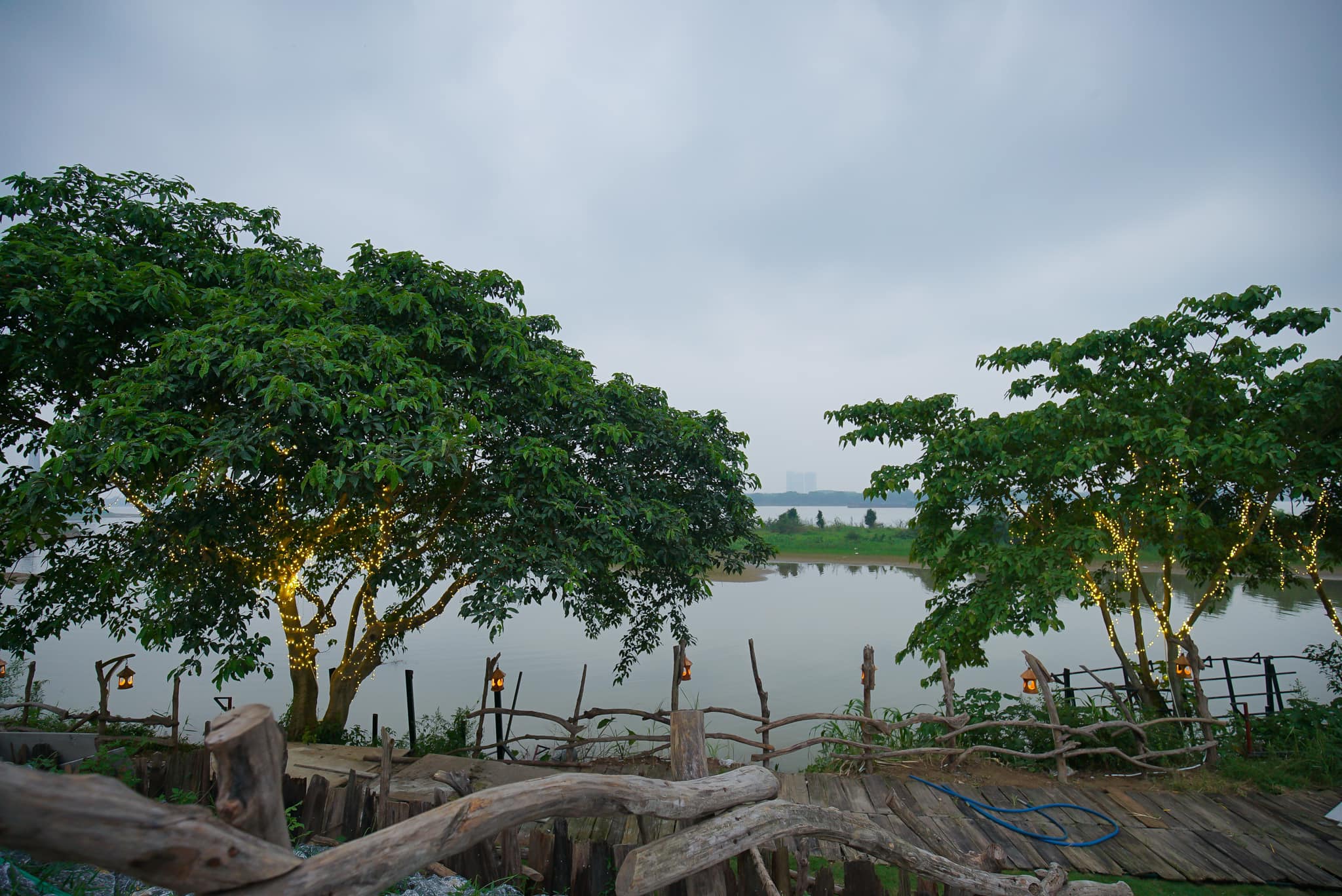 tree-bee-lang-hoa-coffee-01