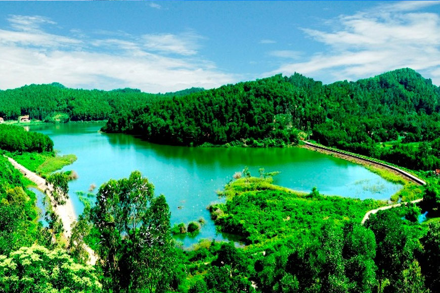 ho dong chuong dep nhu tranh ve