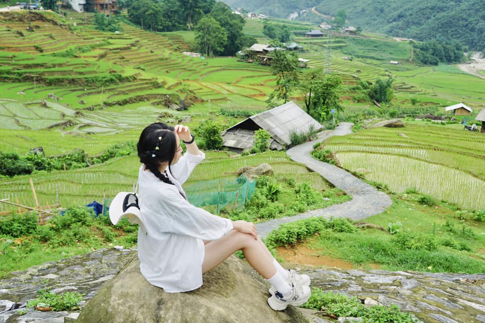 sapa mua lua xanh