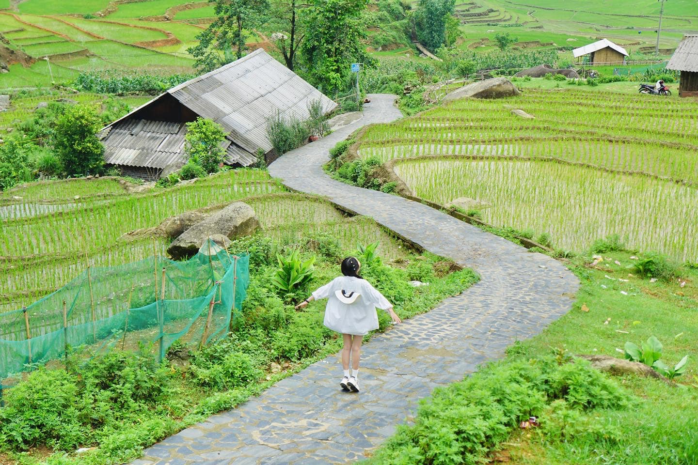 nam cang sapa