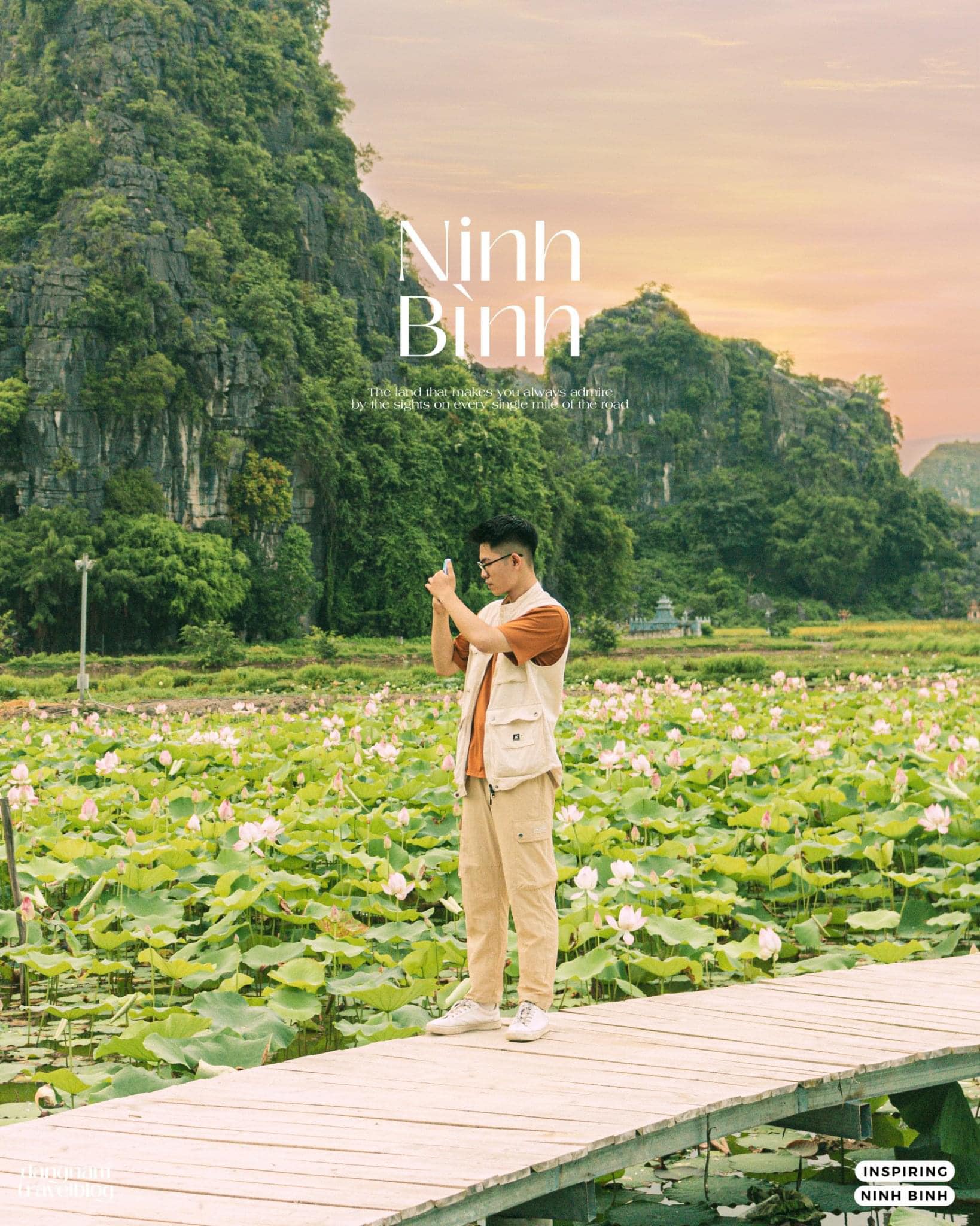 ninh binh mua sen