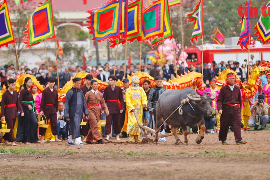 Lễ cày thu hút đông đảo người theo dõi. Ảnh: Sưu tầm