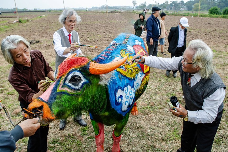 Cuộc thi vẽ trâu đầy tính sáng tạo. Ảnh: Sưu tầm