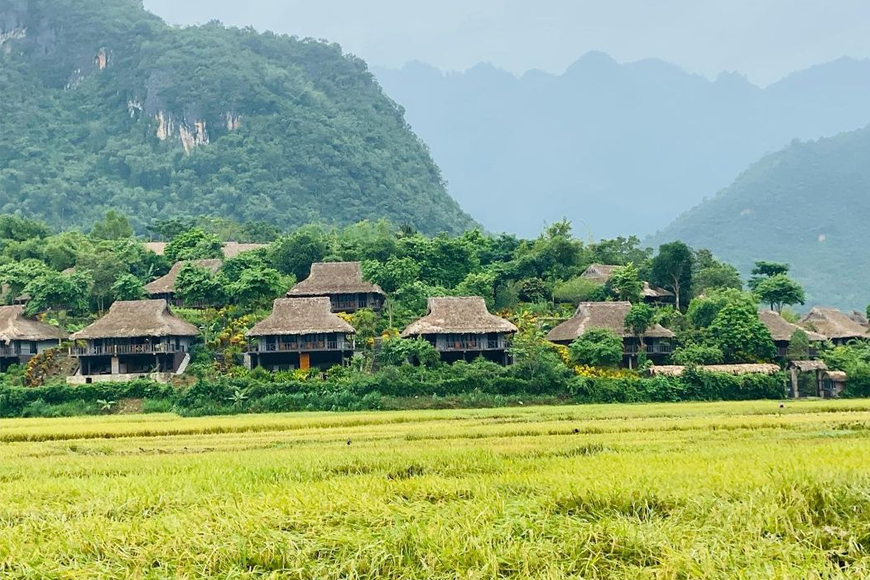 Bản Lác vào mùa lúa chín. Ảnh: Sưu tầm